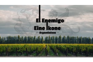 Die ikonische Weinkellerei El Enemigo: Entdecken Sie die besten argentinischen Weine