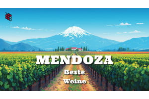 Leitfaden zu den besten Weinen aus Mendoza, Argentinien