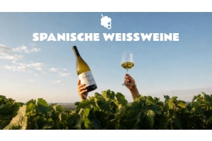Warum spanischer Weißwein gerade im Trend liegt