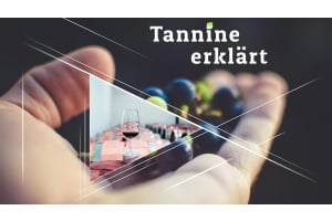 Tannine erklärt: Wie sie sich auf Ihren Wein auswirken 