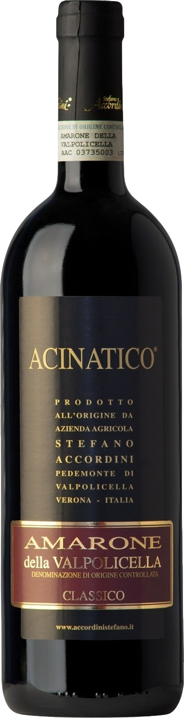 Stefano Accordini Acinatico Amarone della Valpolicella Classico 2020