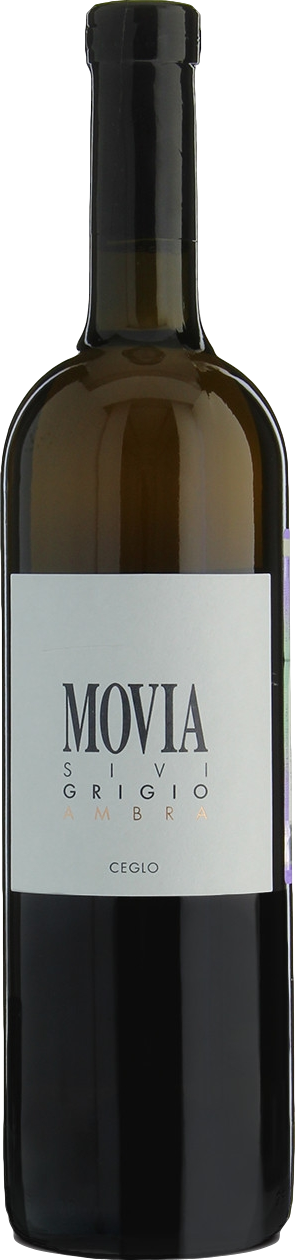 Movia Sivi Grigio Ambra 2023