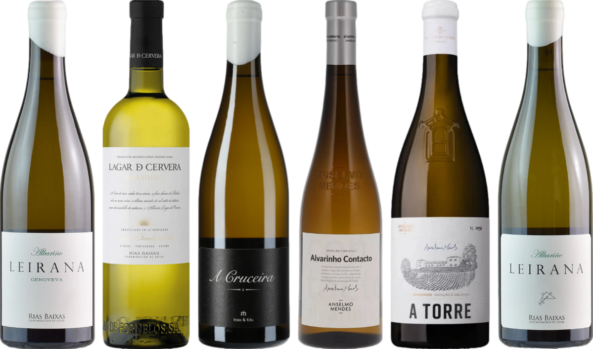 Albarino Premium Verkostungsset