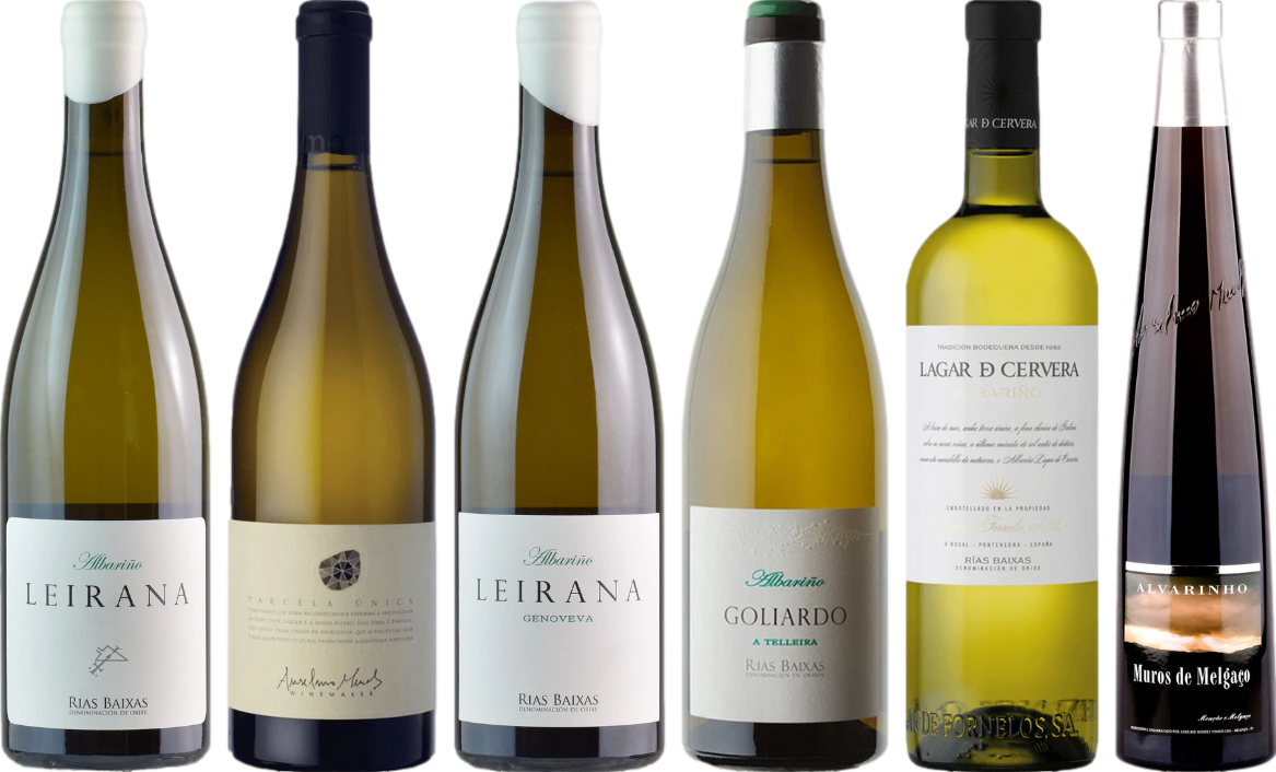 Albarino Premium Verkostungsset