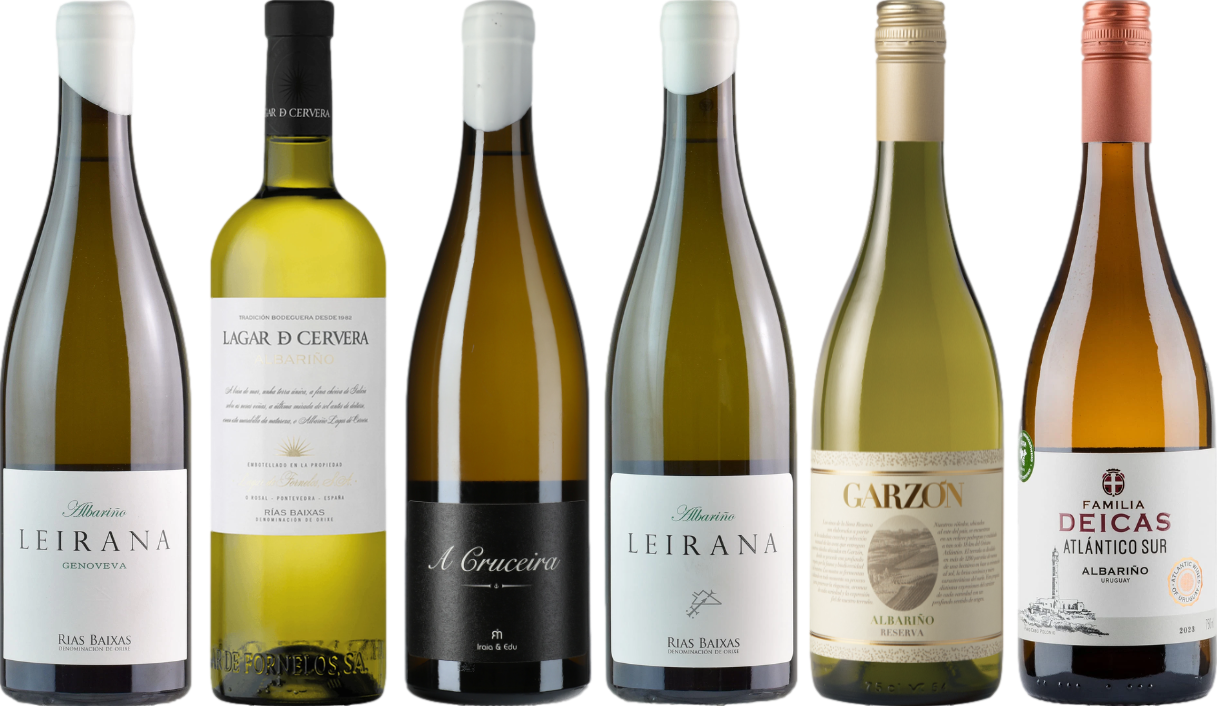 Albarino Premium Verkostungsset