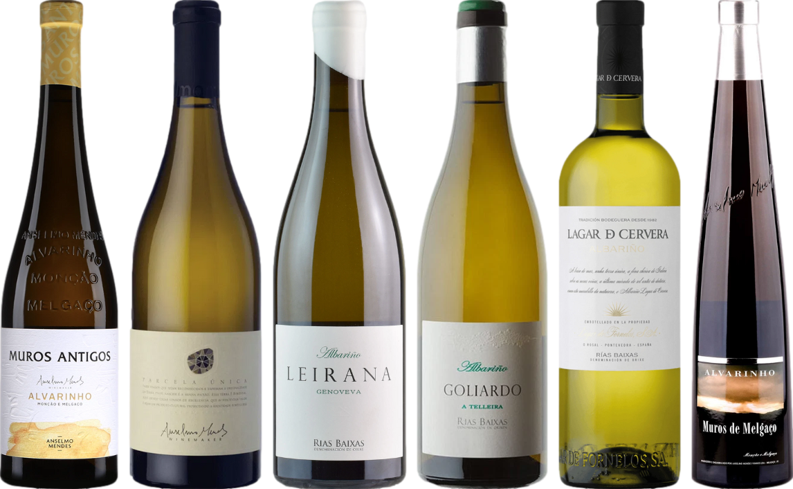 Albarino Premium Verkostungsset