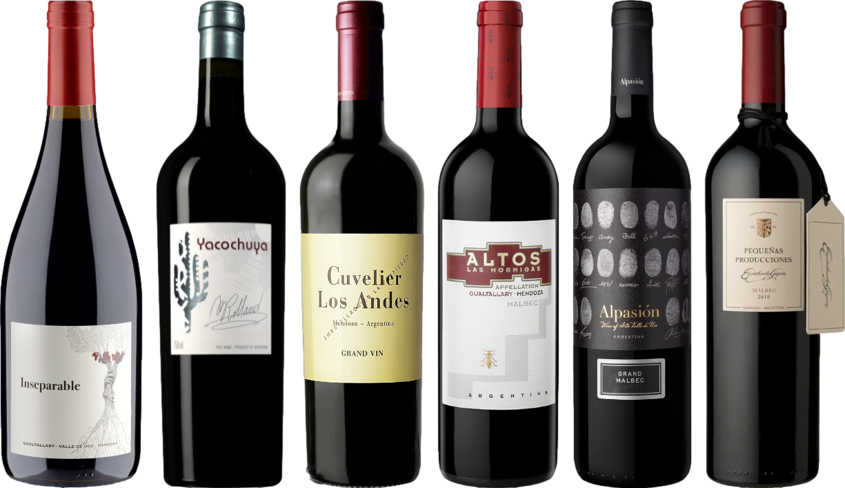Argentinischer Malbec Premium Verkostungsset