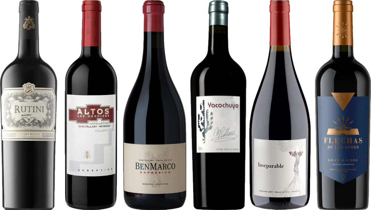 Argentinischer Malbec Premium Verkostungsset