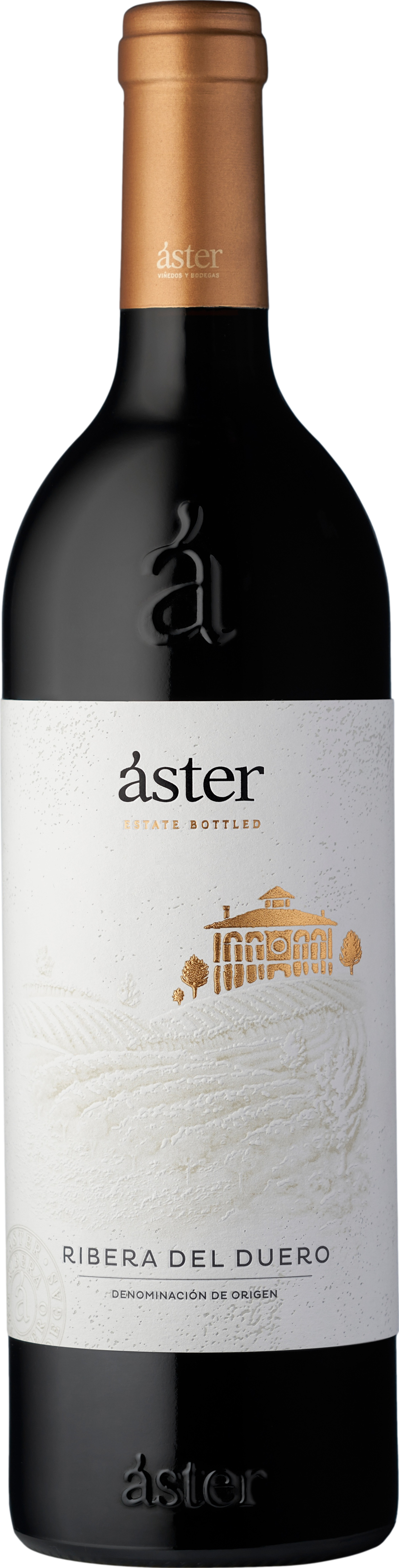Aster Crianza 2021
