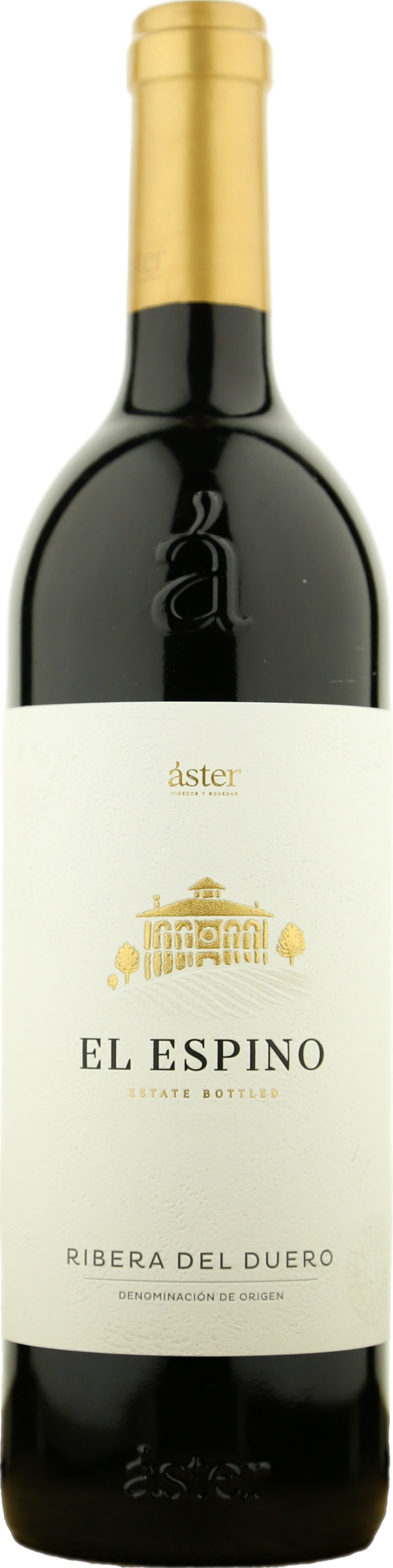 Aster El Espino 2021