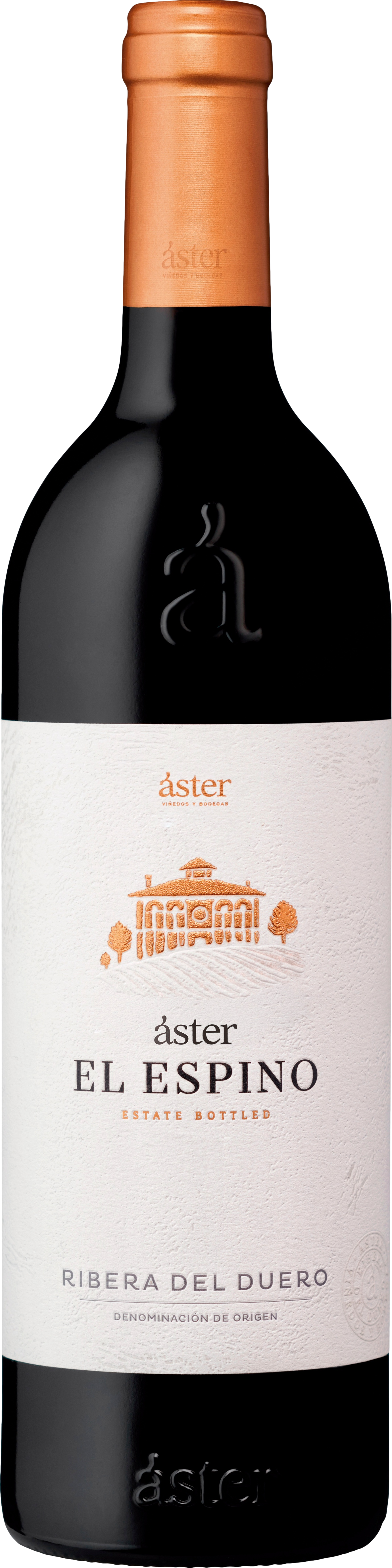 Aster El Espino 2021