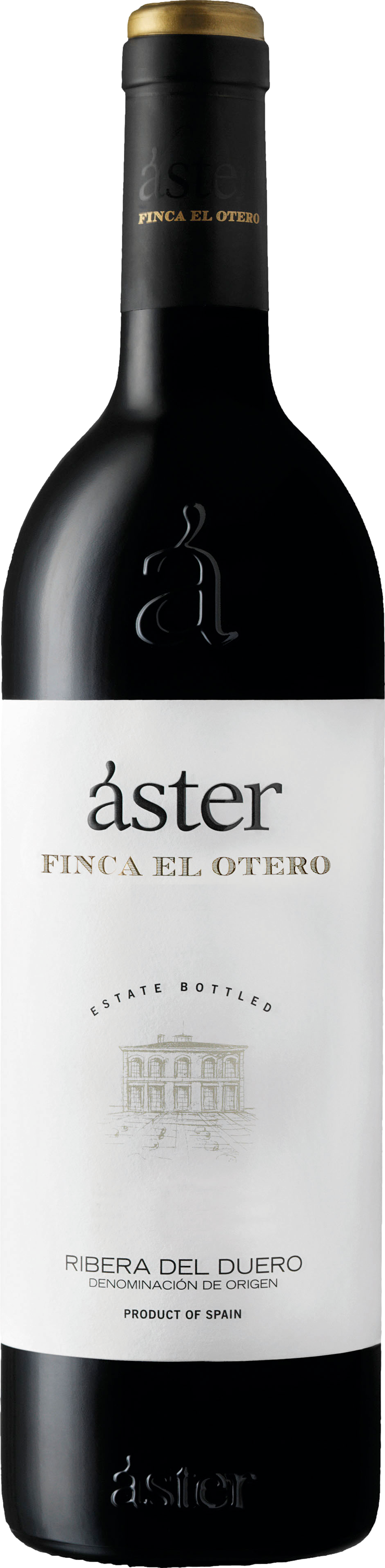 Image of Aster Finca El Otero 2019