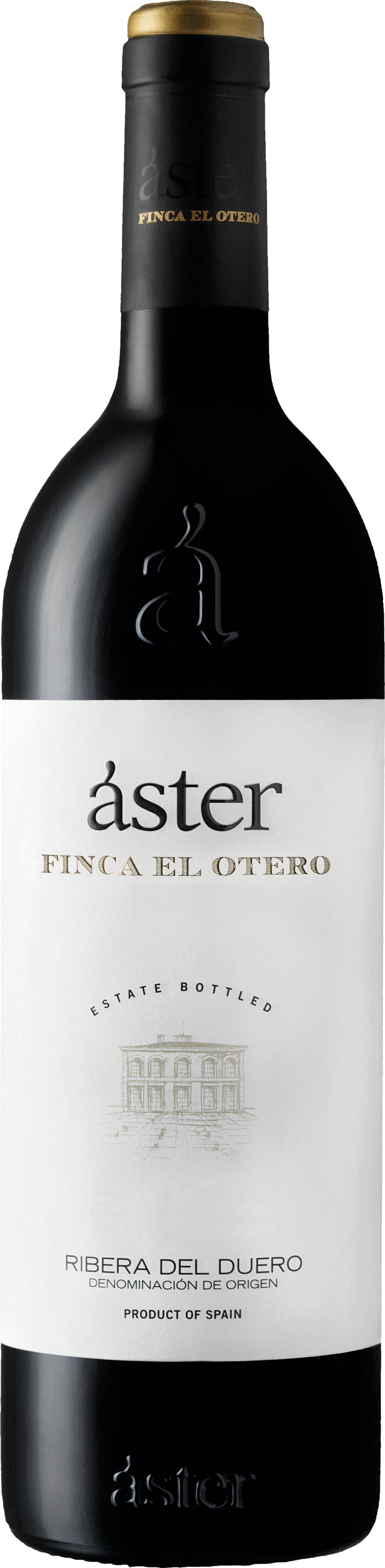 Aster Finca El Otero 2021