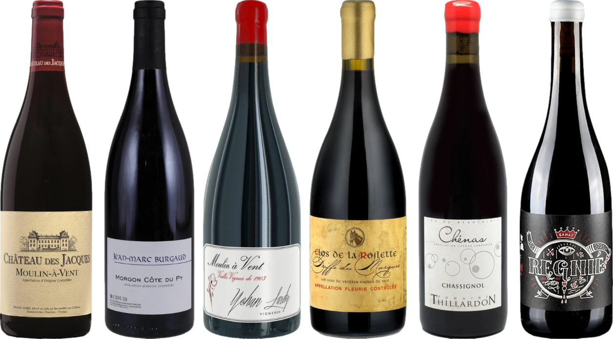 Beaujolais Premium Verkostungsset