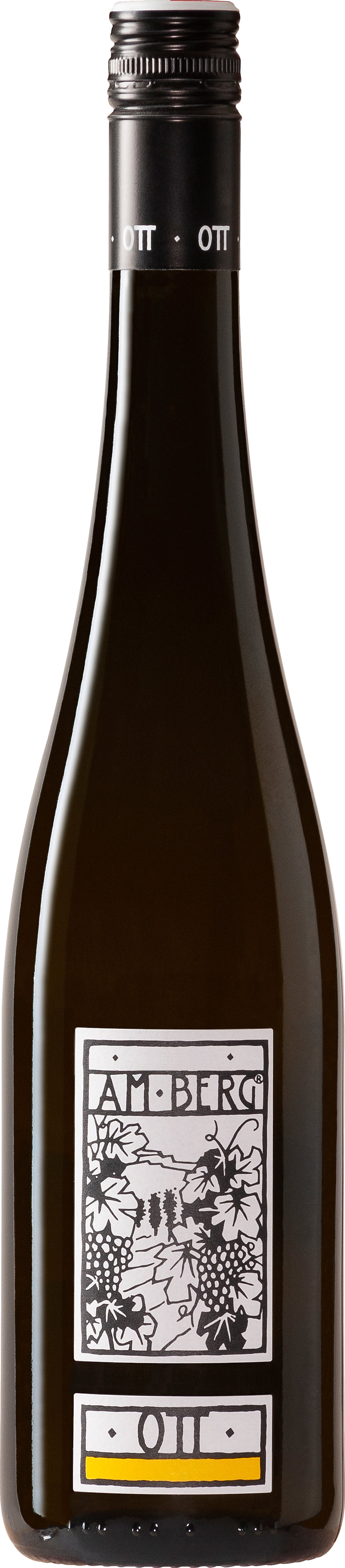 Bernhard Ott Am Berg Gruner Veltliner 2024