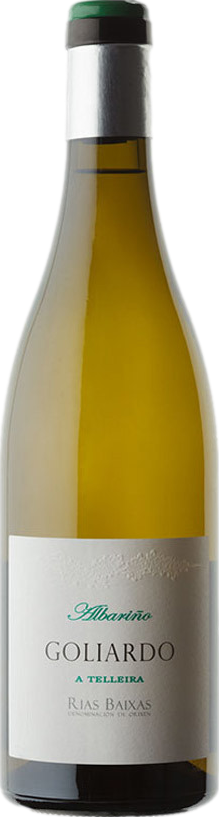 Bodegas Forjas del Salnes Goliardo A Telleira Albarino 2023