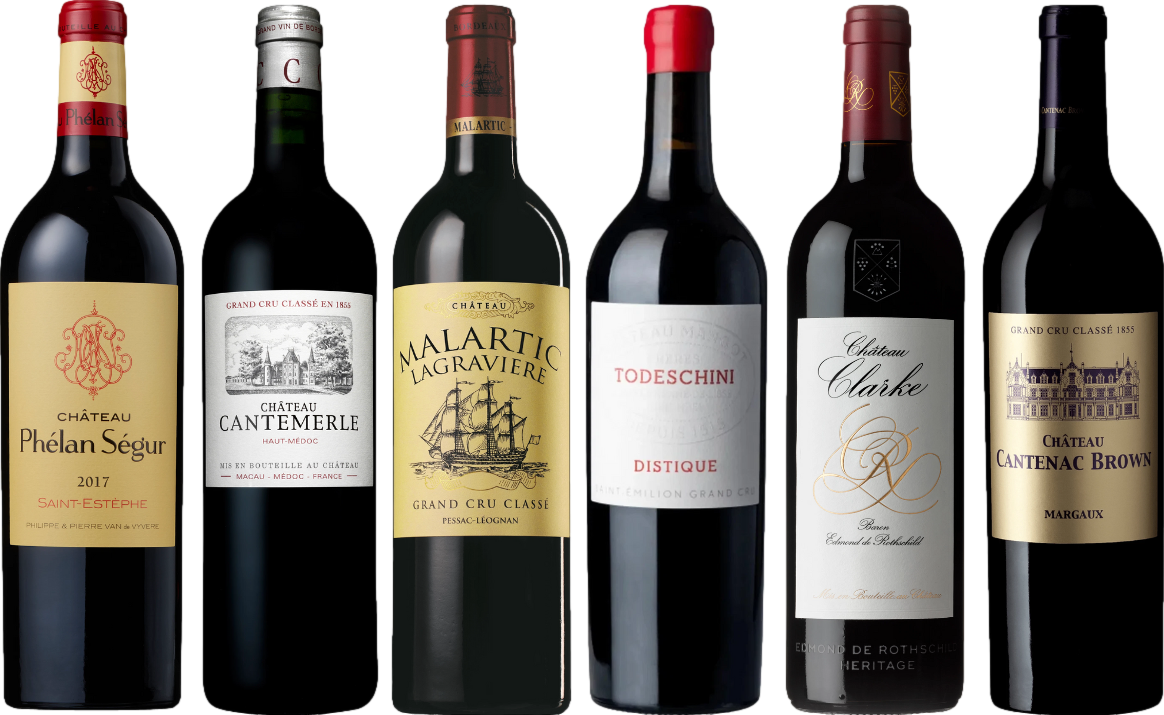 Bordeaux Rot Verkostungsset