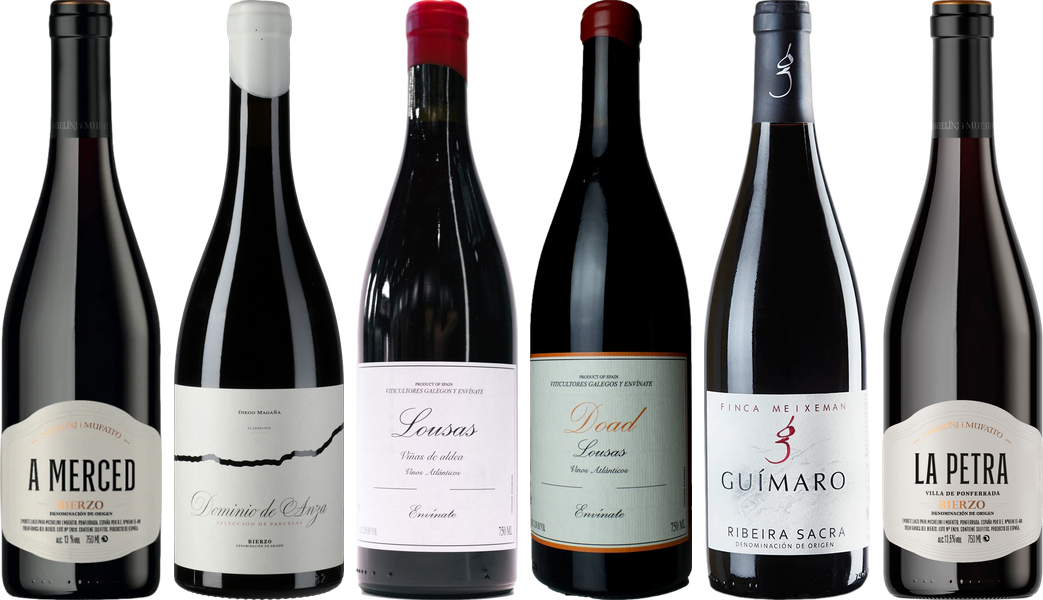 Mencia Premium Verkostungsset