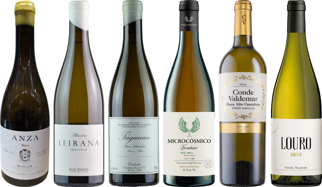 Spanischer Weißwein Premium Verkostungsset