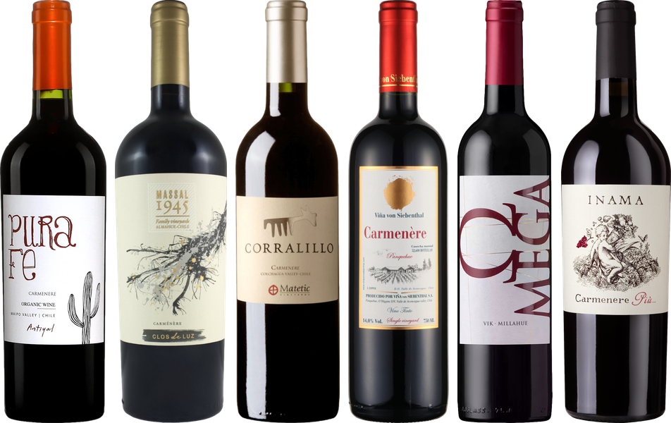 Carmenere Verkostungsset