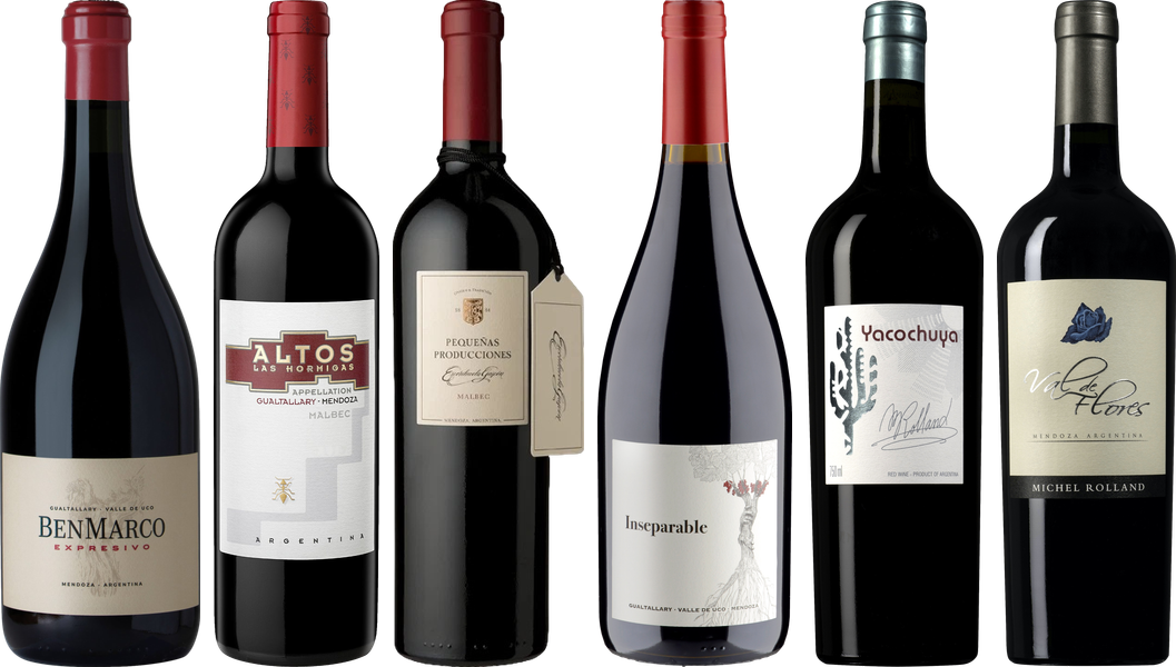 Argentinischer Malbec Premium Verkostungsset