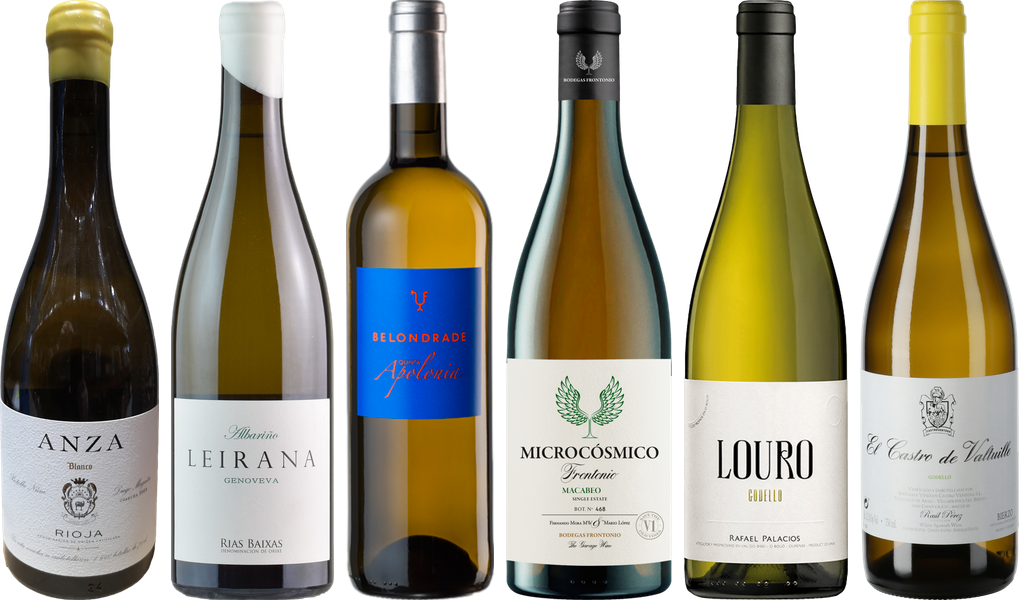 Spanischer Weißwein Premium Verkostungsset
