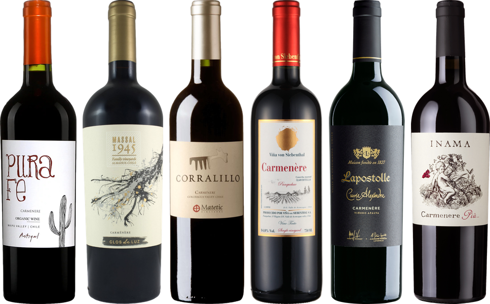 Carmenere Verkostungsset