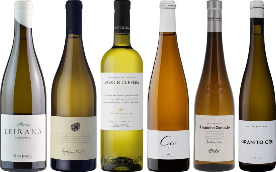 Albarino Premium Verkostungsset