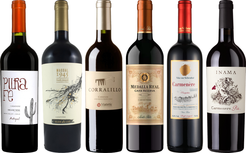 Carmenere Verkostungsset