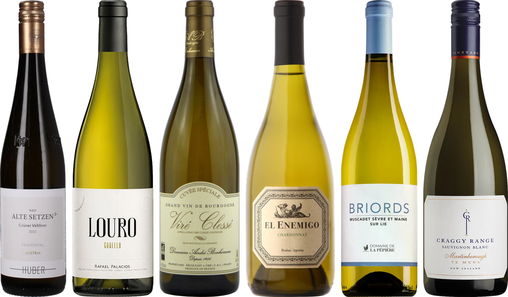 8Wines Weisswein Verkostungsset