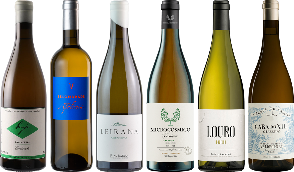 Spanischer Weißwein Premium Verkostungsset