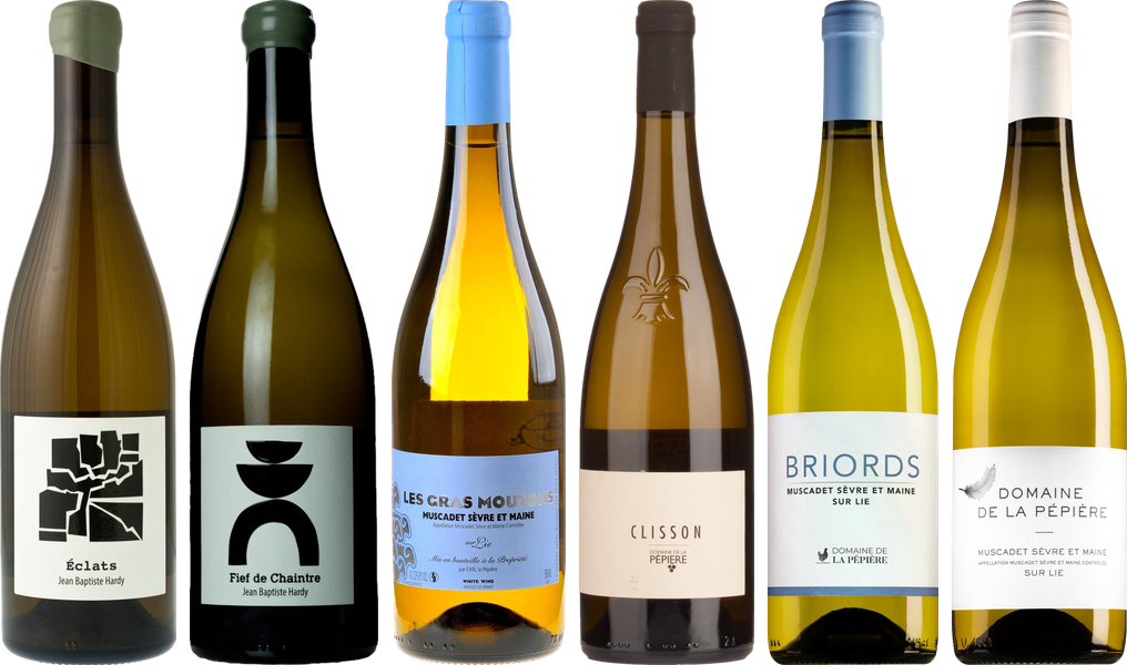 Muscadet Premium Verkostungsset