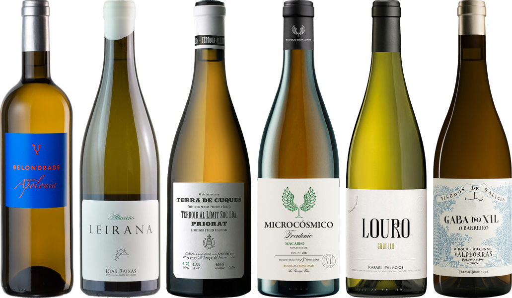 Spanischer Weißwein Premium Verkostungsset