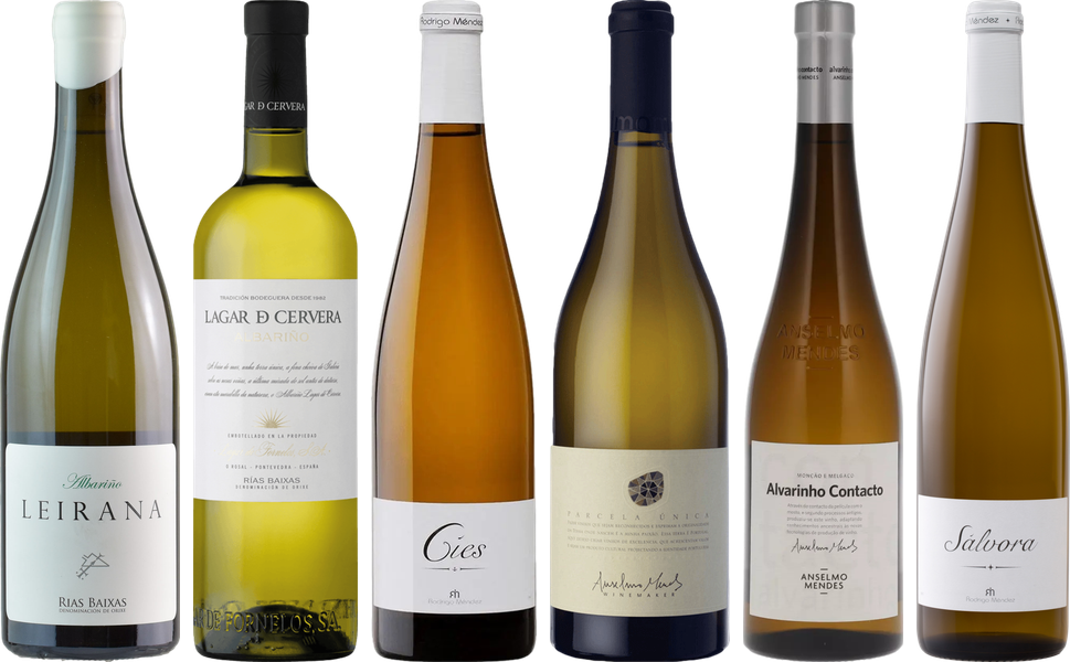 Albarino Premium Verkostungsset