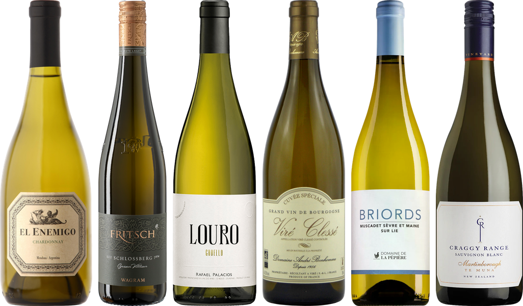 8Wines Weisswein Verkostungsset