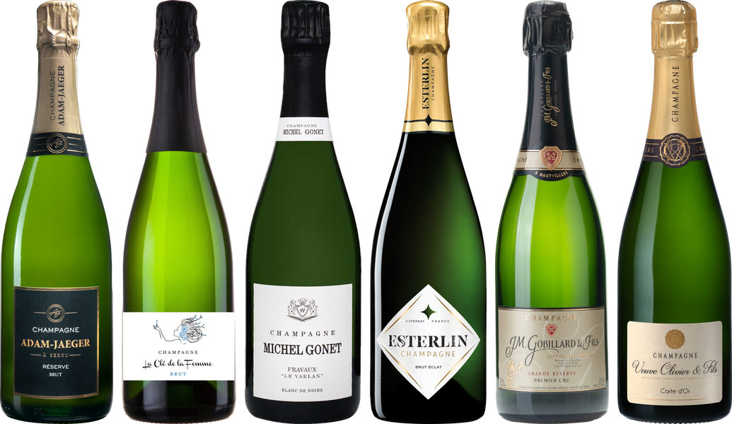 Hochwertiges Champagner-Verkostungsset