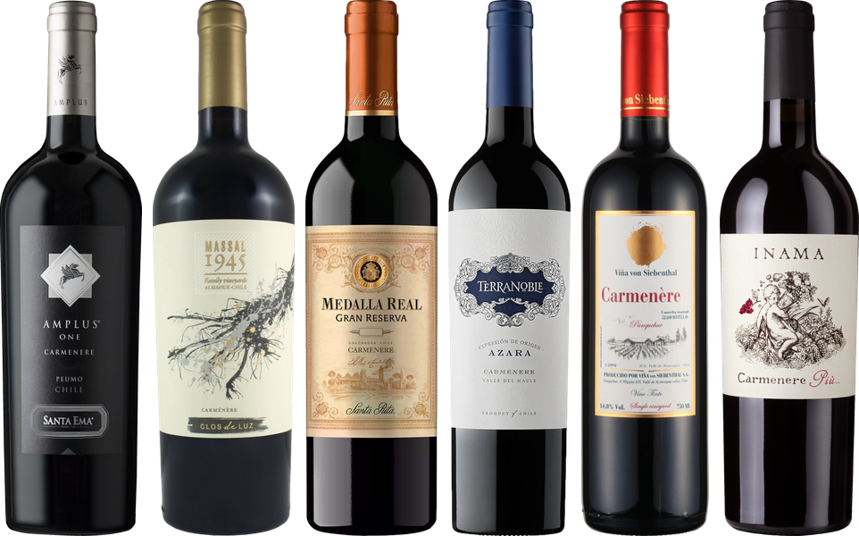 Carmenere Verkostungsset