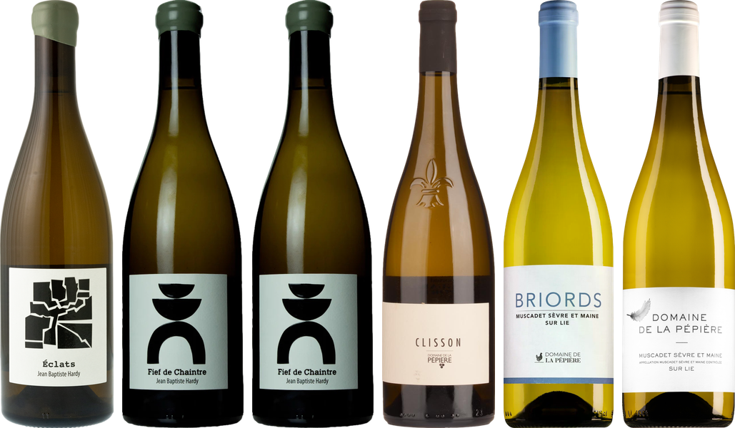 Muscadet Premium Verkostungsset
