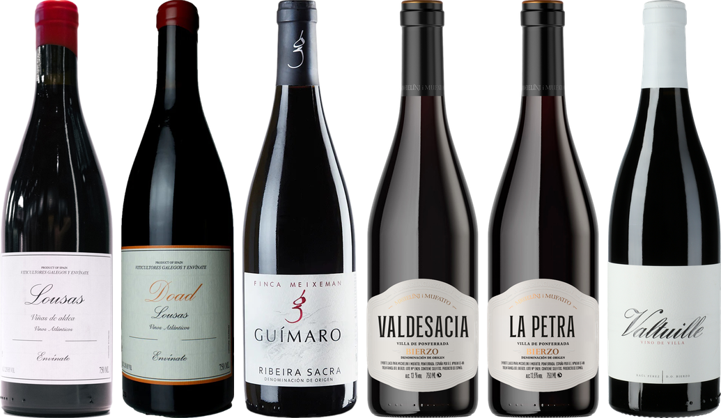 Mencia Premium Verkostungsset