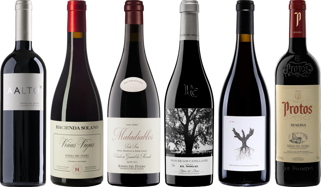 Ribera del Duero Premium Verkostungset