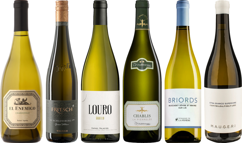 8Wines Weisswein Verkostungsset