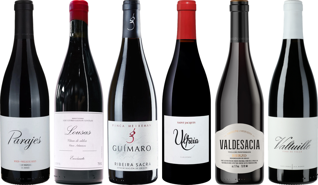 Mencia Premium Verkostungsset