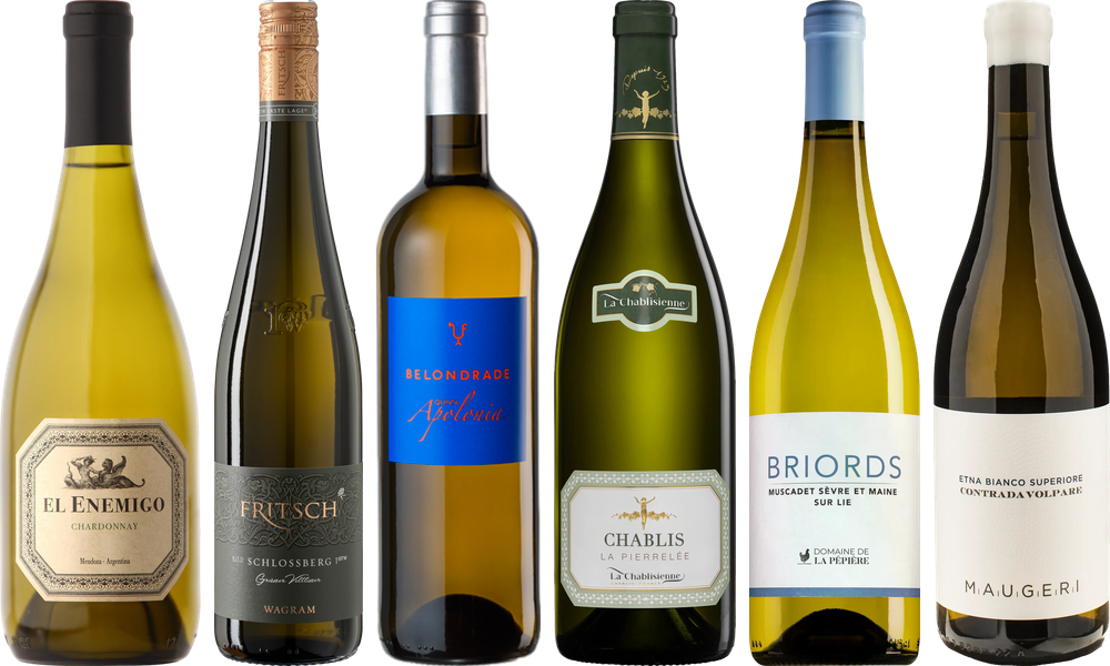 8Wines Weisswein Verkostungsset