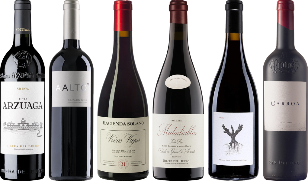 Ribera del Duero Premium Verkostungset