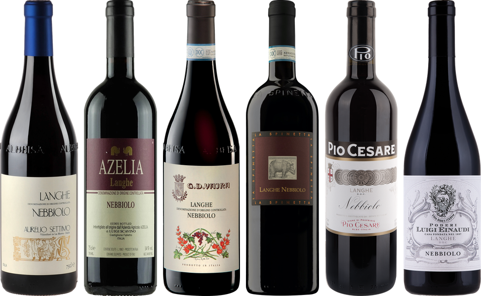 Langhe Nebbiolo Premium Verkostungsset