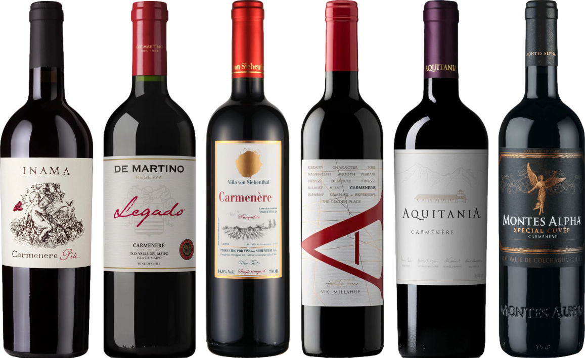 Carmenere Verkostungsset