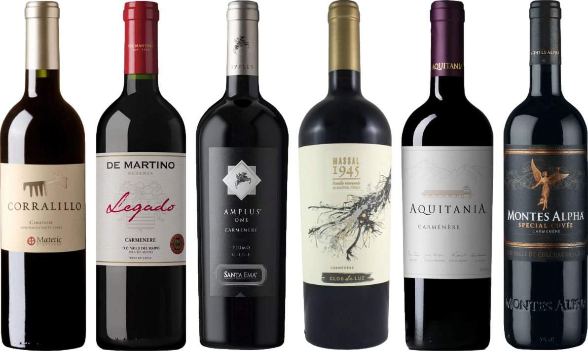 Carmenere Verkostungsset
