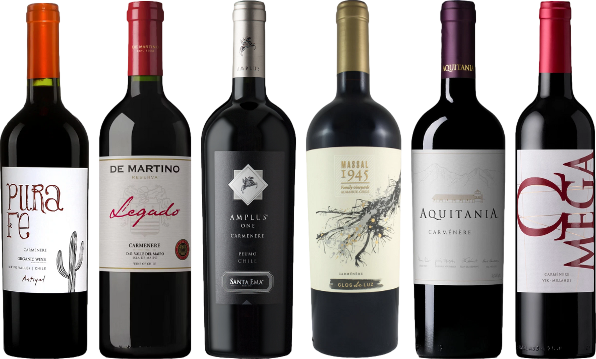 Carmenere Verkostungsset