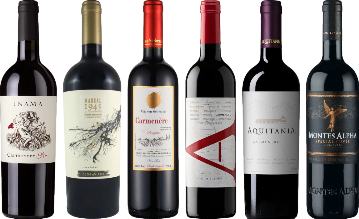 Carmenere Verkostungsset