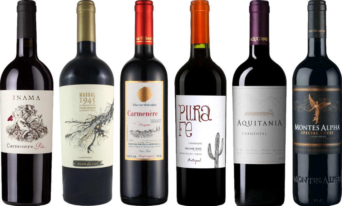 Carmenere Verkostungsset